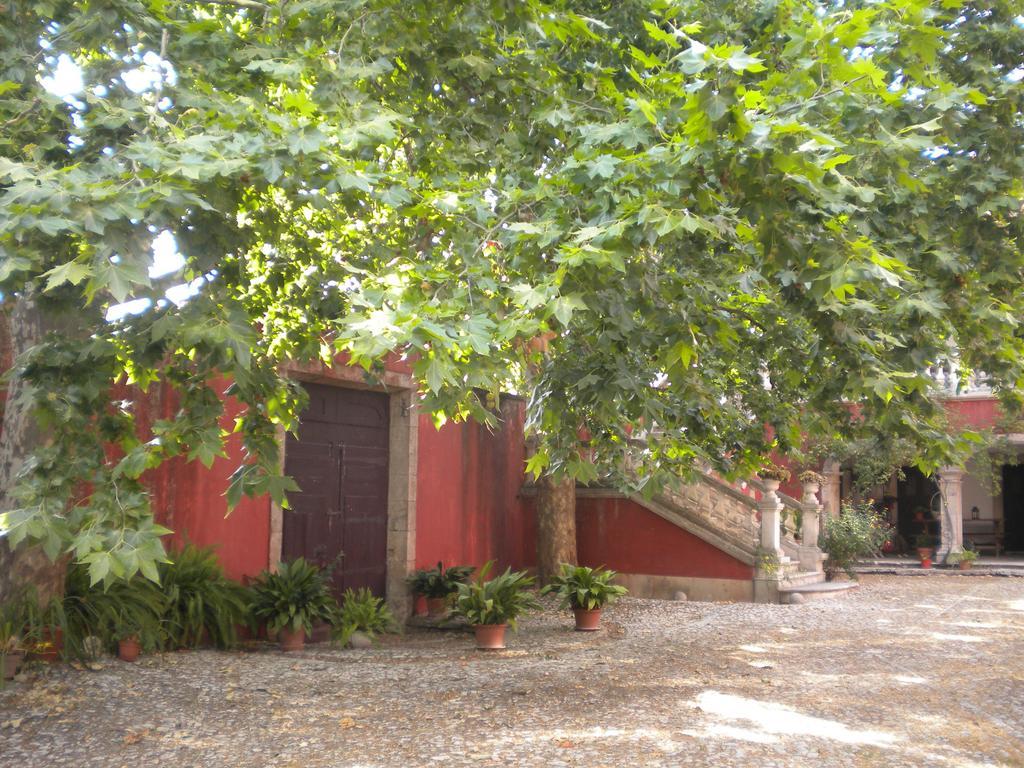 Bed and Breakfast Casa Dos Vargos Torres Novas Exteriér fotografie